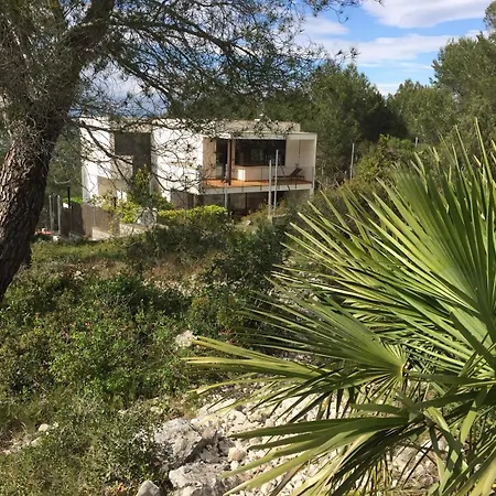 Villa Vicente